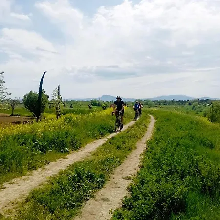 Borgonuovo Rimini