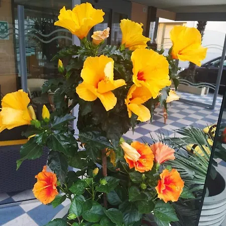 Venezia Hotel 3*