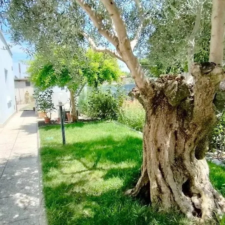 Casa Lety Con Giardino, Aria Condizionata E Wifi Rimini