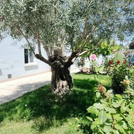 Casa Lety Con Giardino, Aria Condizionata E Wifi Rimini