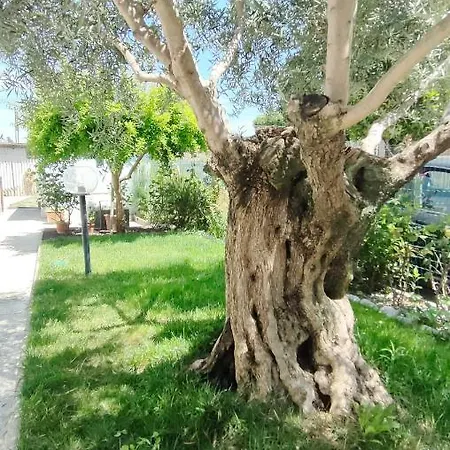 Apartment Casa Lety Con Giardino, Aria Condizionata E Wifi Rimini