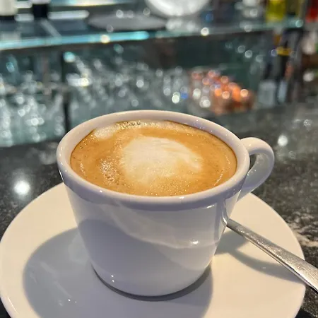 杜马里酒店 4* 里米尼