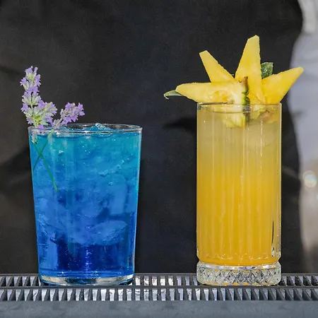 酒店 杜马里酒店 4*