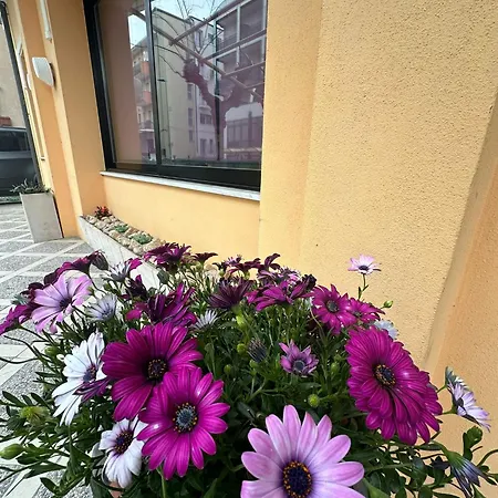 Hotel Till Rimini