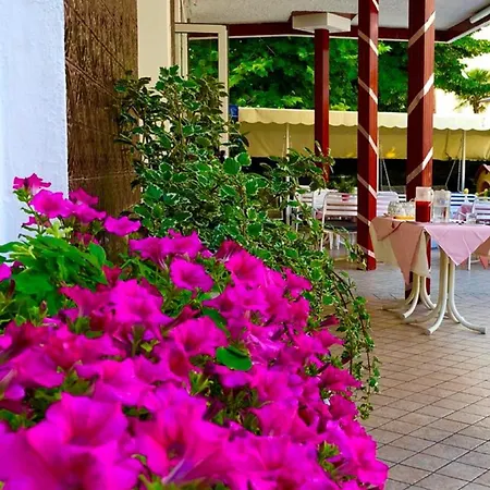 Hotel Alessi** Rimini