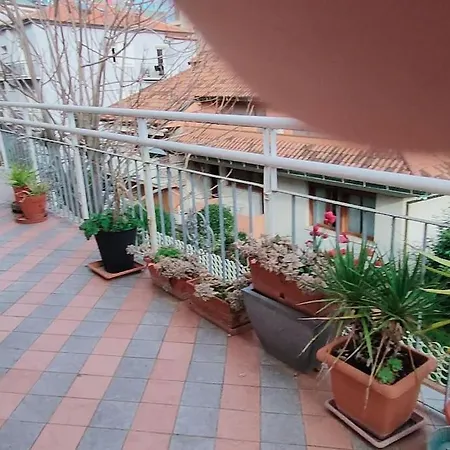 Homs * Rimini