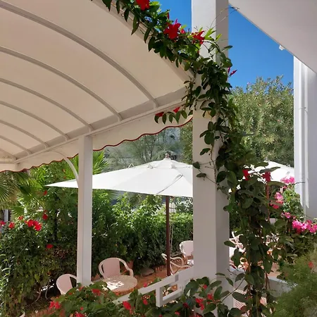 Hotel Driade Sul Mare 3*
