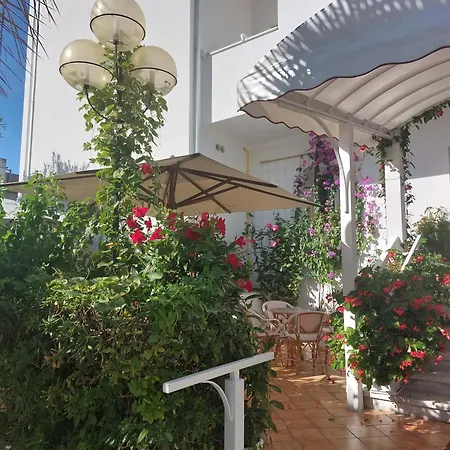 Hotel Driade Sul Mare 3*