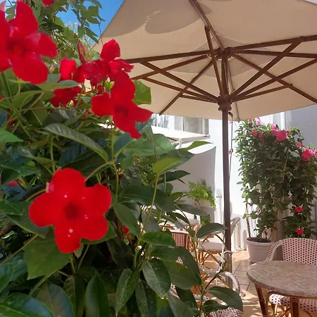 Driade Sul Mare Hotel Rimini