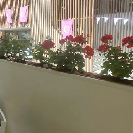 厄雷亚勒酒店 酒店 2*