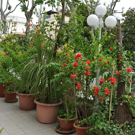 Hotel Arno Rimini