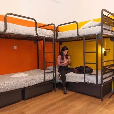 Sunflower Backpacker & Bar بيت شباب
