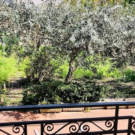 Sun Garden House Дом отдыха *