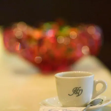 فندق Venezia
