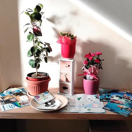 Nel Cuore Apartman Rimini