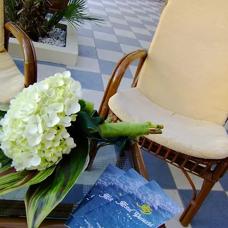 Venezia Hotel Rimini