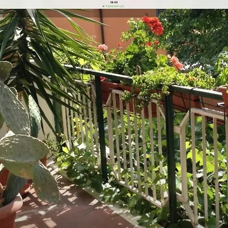 Hotel Hotel Mirella Rimini
