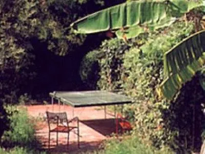 Club Italgor Hotel Rimini