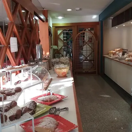 Hotel Carol 3*