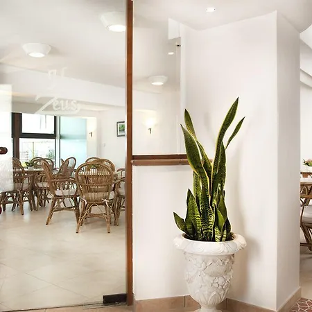 Zeus Hotel Rimini