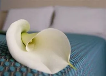 Hotell Dei Platani
