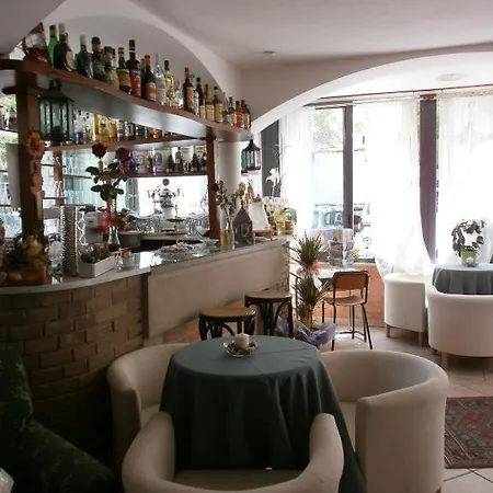 Hotel Alfredo's 3*