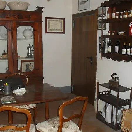 Mori * Rimini
