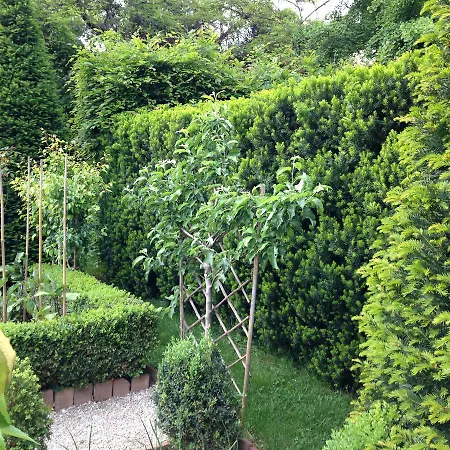 Bed & Breakfast Sottoalfico Rimini