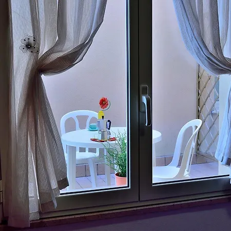 Verbena Rimini
