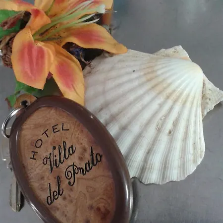 Del Prato Cucina Romagnola E Possibilita Pacchetto Отель Bellariva Di Rimini