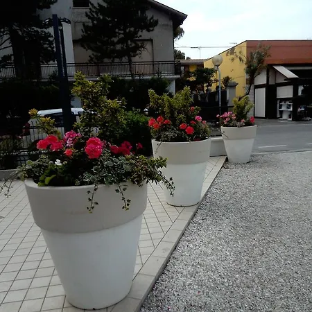 Hotel Goldene Rose 2*