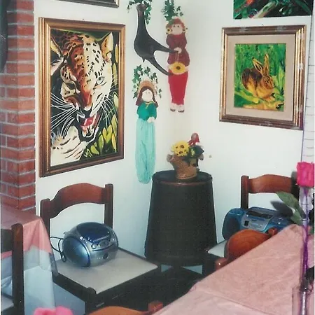 Club Italgor Hotel Rimini