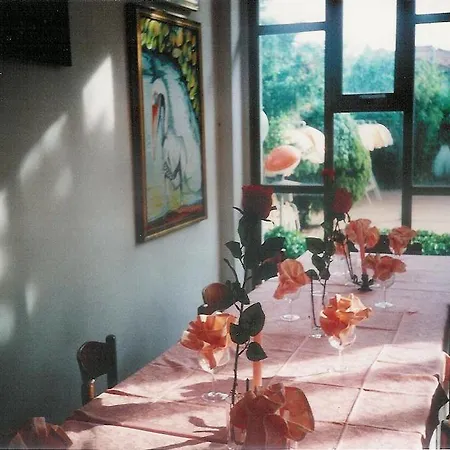 Club Italgor Hotel Rimini