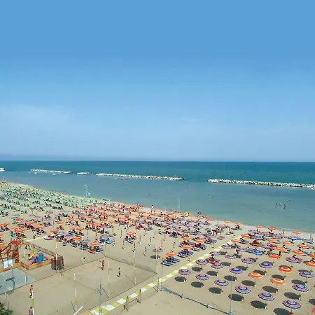 Zeus Rimini
