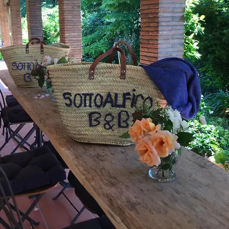 Sottoalfico
