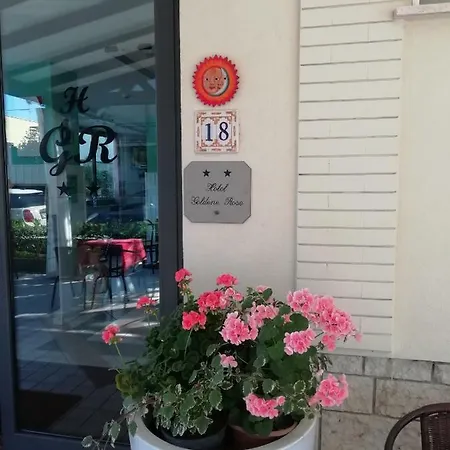 Goldene Rose Hotel 2*