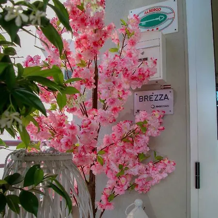 Brezza מלון 3*