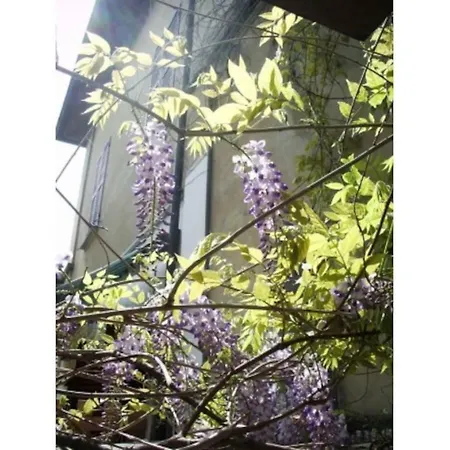 Apartment Il Glicine