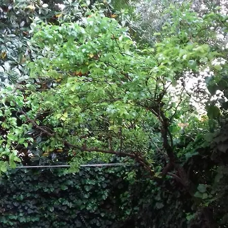 29 Via Roma Casa Mancini Rimini