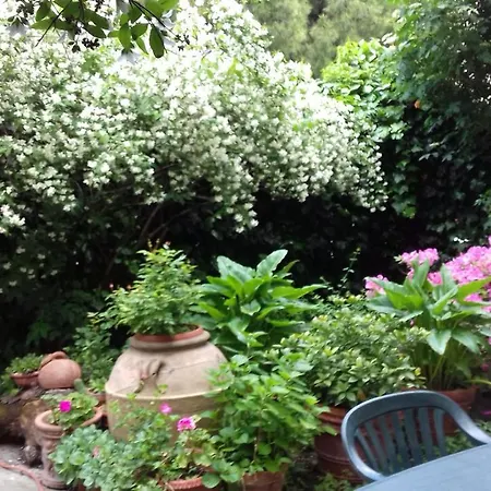 Appartamento 29 Via Roma Casa Mancini