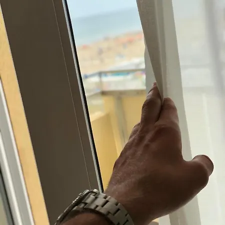 Artide 3*