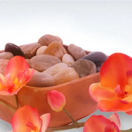Maena Hotel Rimini