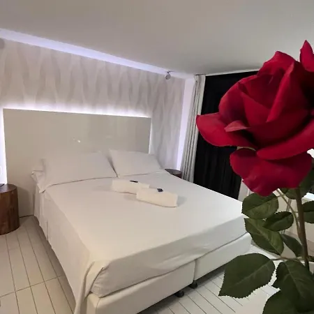 Q Hotel 3*