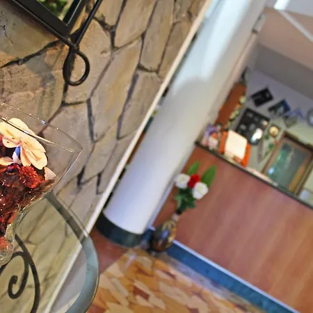 新报春花酒店