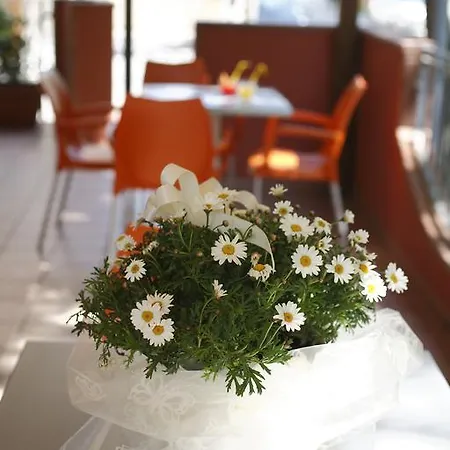 Hotel Sport Rimini