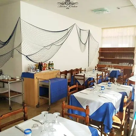 Hotel Orlov 2*