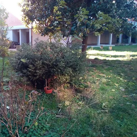 Bed & Breakfast Acquario Rimini